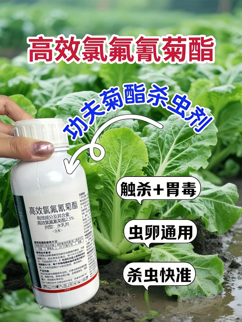 丽水代生中心:农药对供卵代生妈妈的危害